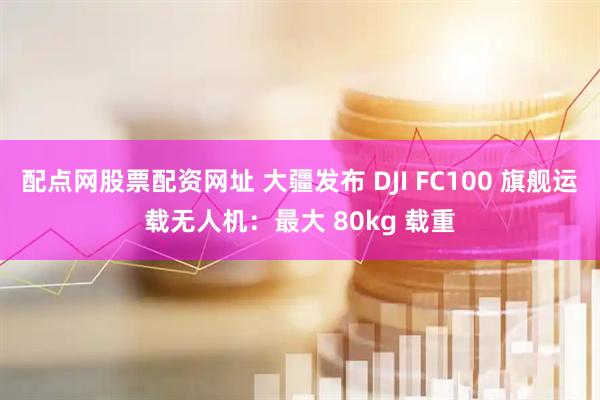 配点网股票配资网址 大疆发布 DJI FC100 旗舰运载无人机：最大 80kg 载重