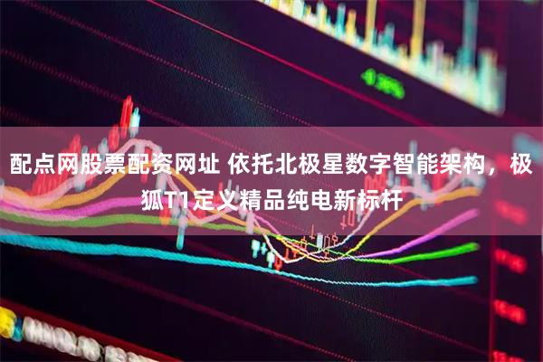 配点网股票配资网址 依托北极星数字智能架构，极狐T1定义精品纯电新标杆